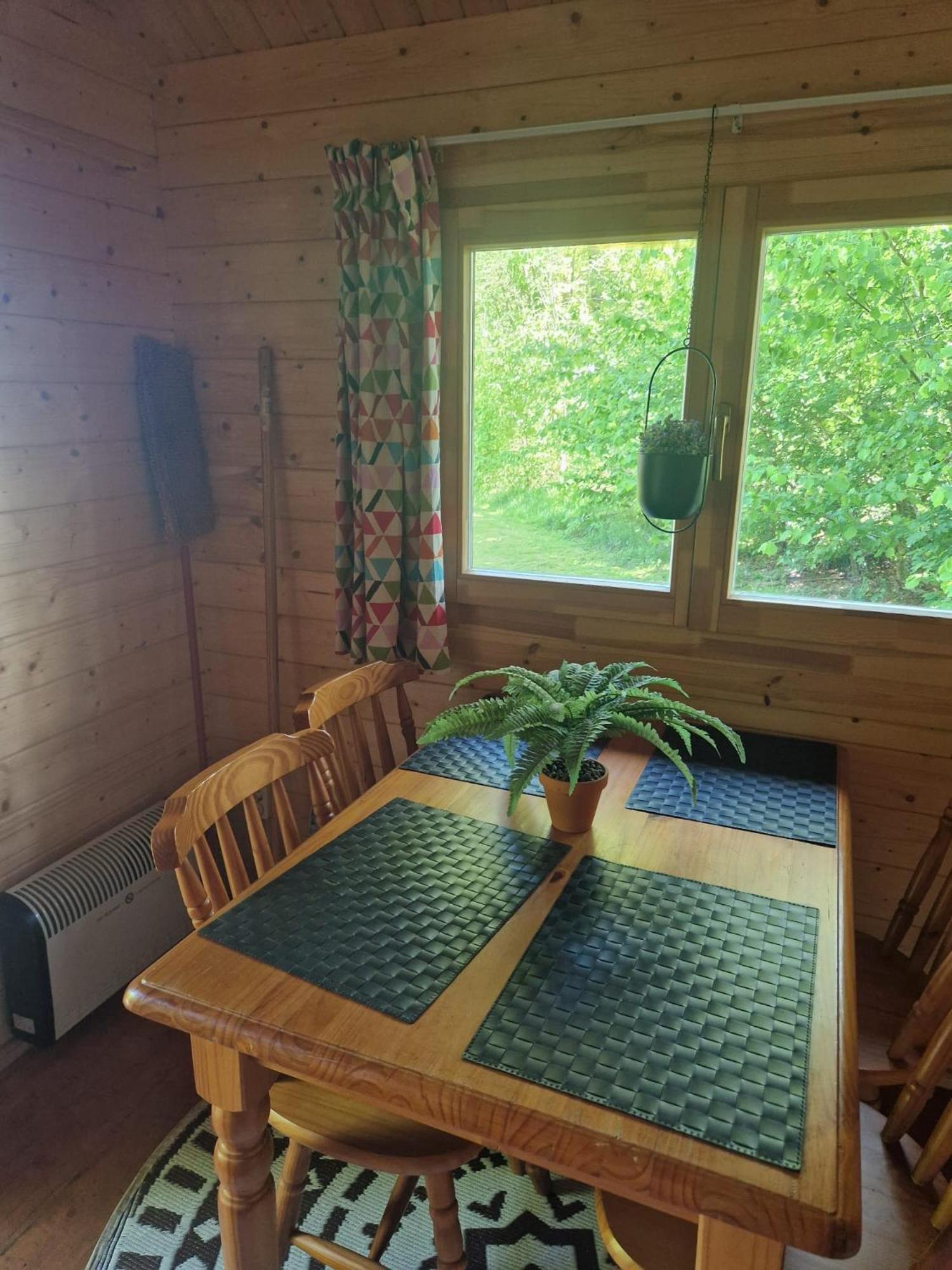 Camping Alkenhaer Appelscha Blokhut Basic מראה חיצוני תמונה