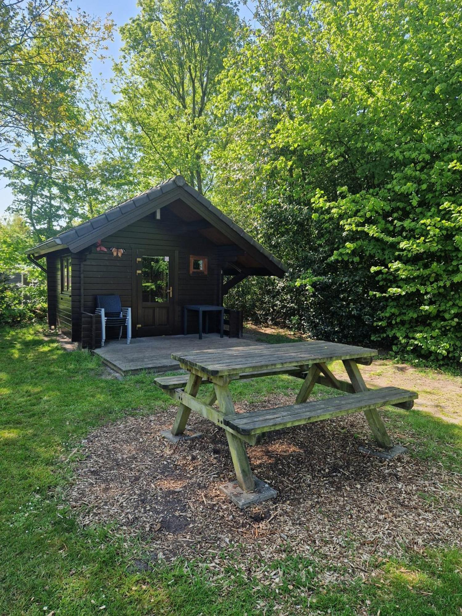 Camping Alkenhaer Appelscha Blokhut Basic מראה חיצוני תמונה
